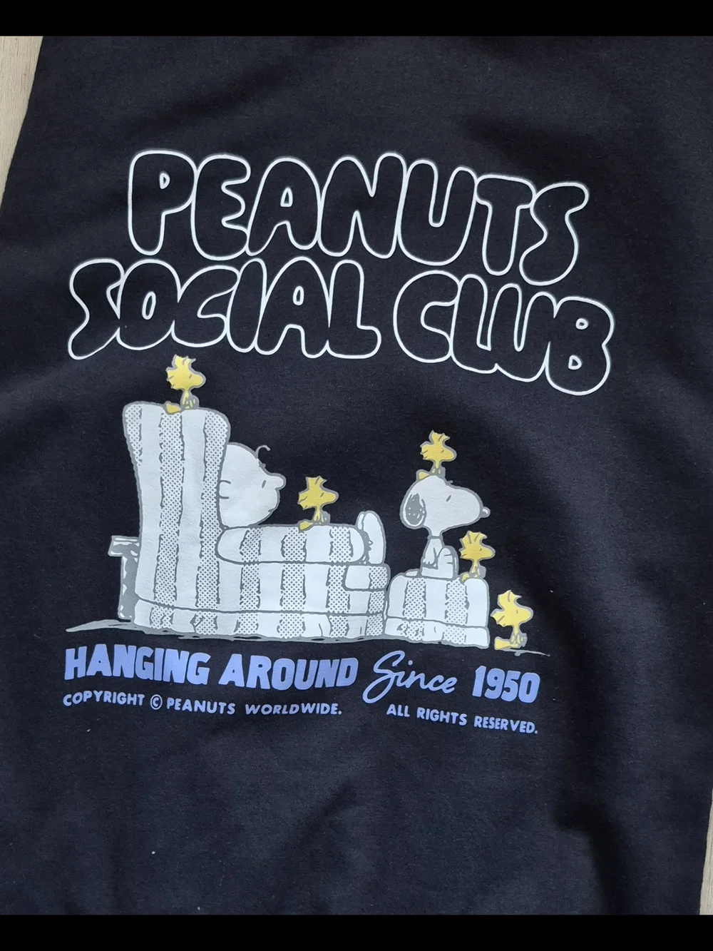 Peanuts Snoopy Social Club Hoodie